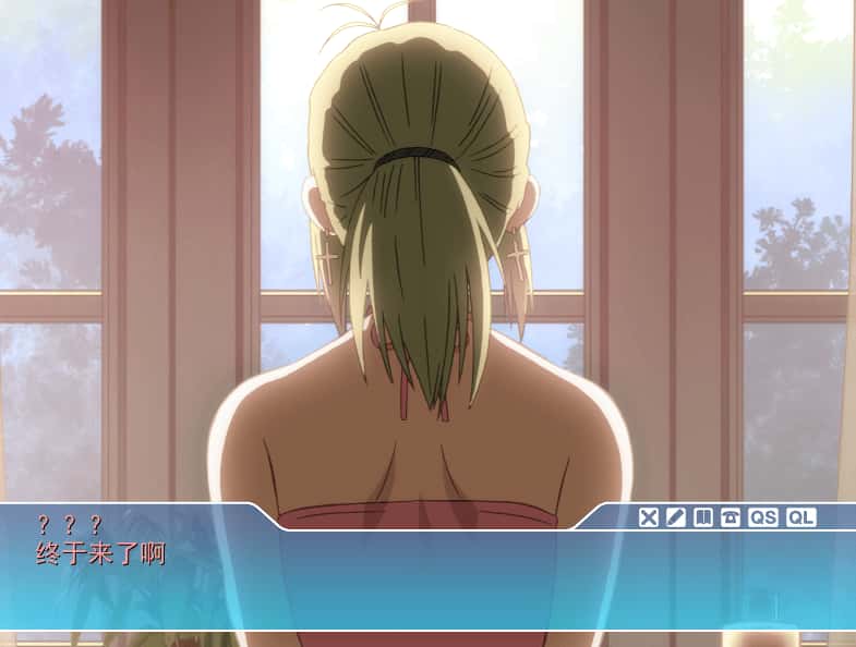 PC/ADV SISTERS：夏日最后一天～Ultra Edition 6.6G封面